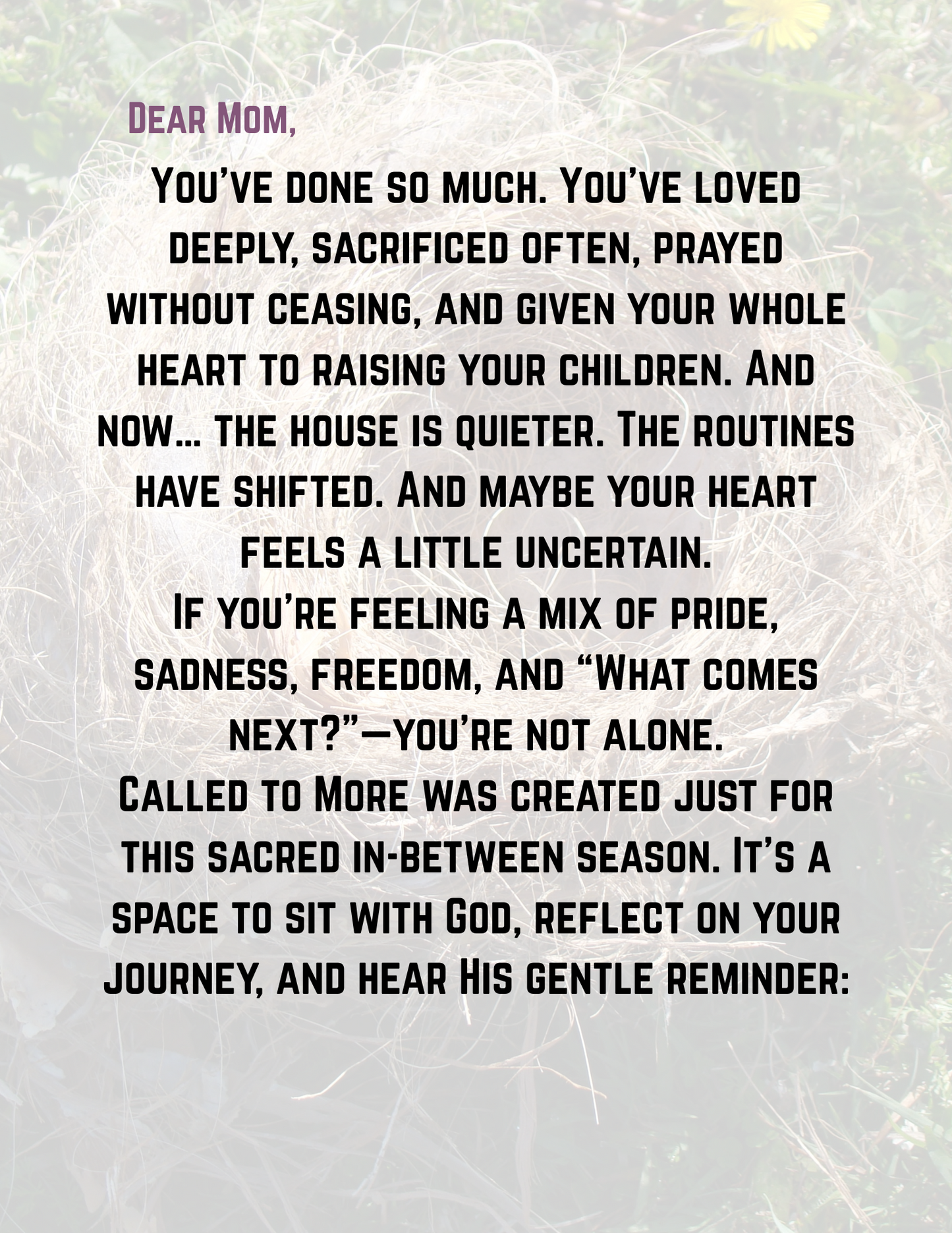 Called To More: A Journal for moms Entering the Empty Nest Season