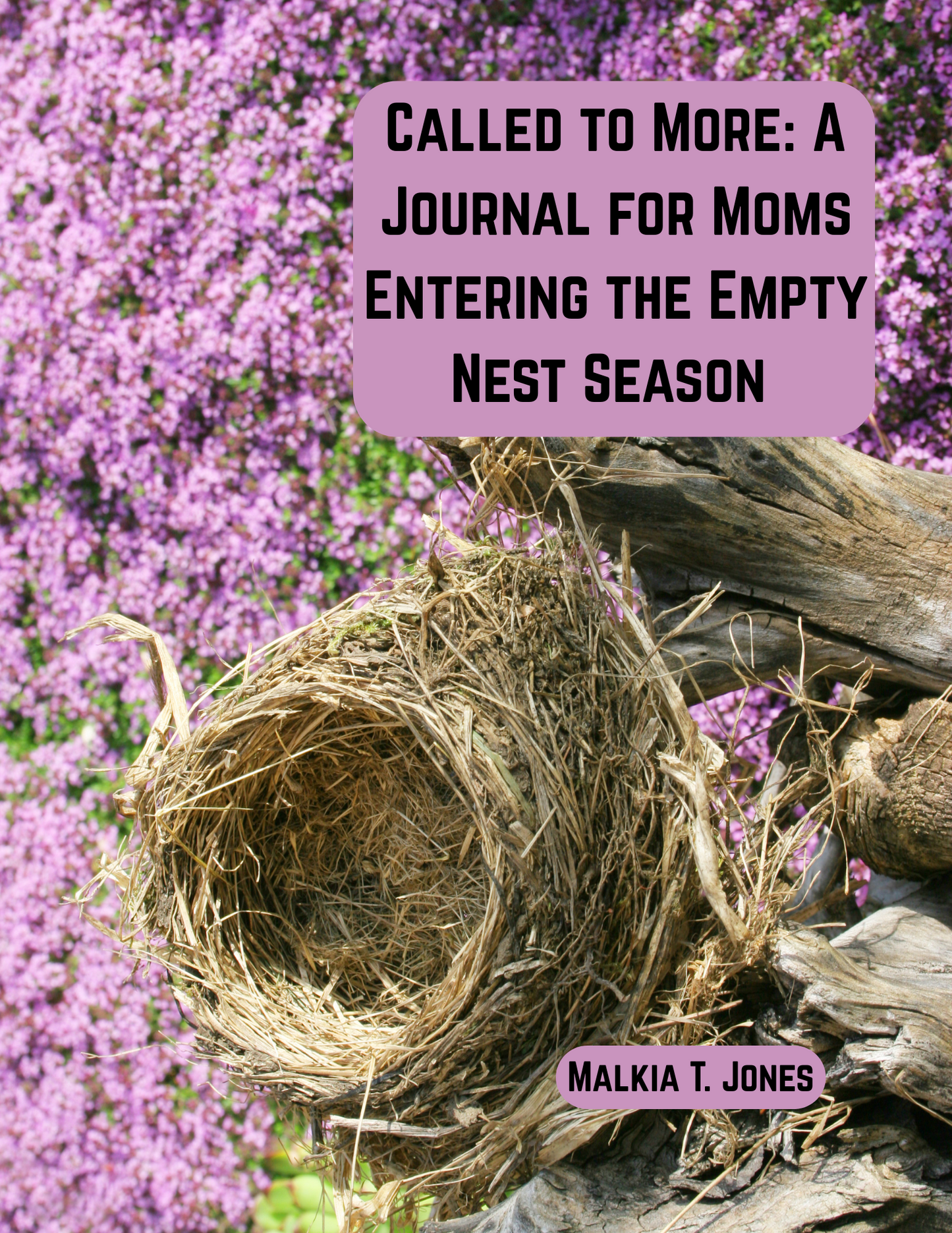 Called To More: A Journal for moms Entering the Empty Nest Season
